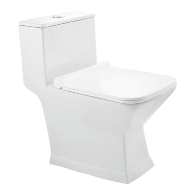 TOZZO One Piece Water Closet