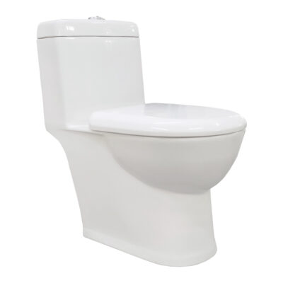 Ace One Piece Water Closet