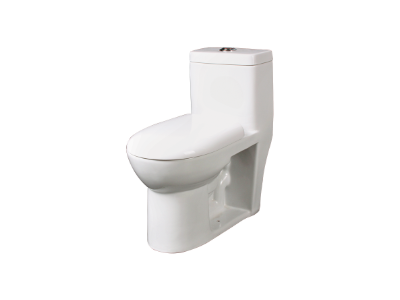 VEGA S-220 One Piece Water Closet