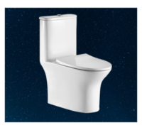 CORA S-300 One Piece Water Closet