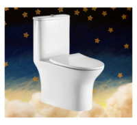 CORA S-220 One Piece Water Closet