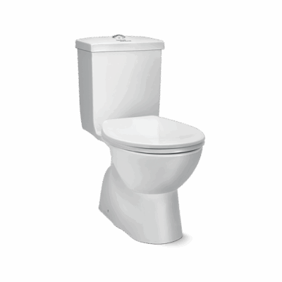 CEDAR One Piece Water Closet