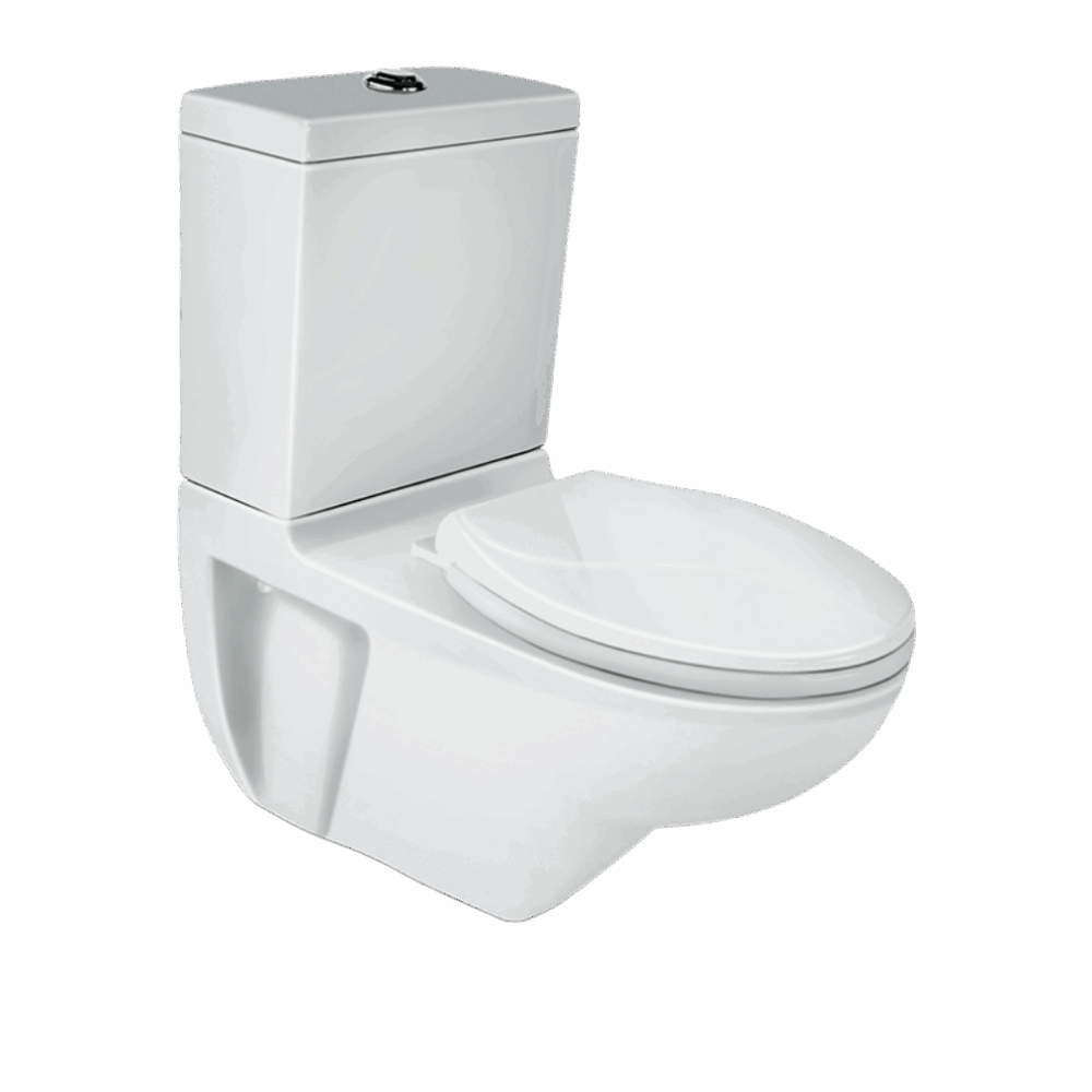 Mario Extended Wall Mounted Water Closet – Star Rated