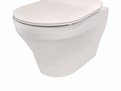 Rene Wall Mounted Water Closet