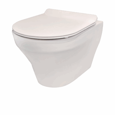 Rene Wall Mounted Water Closet