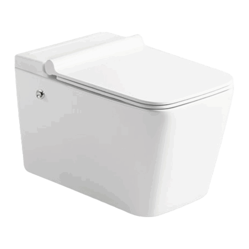 Tankless S2 Wall Mounted EWC Square