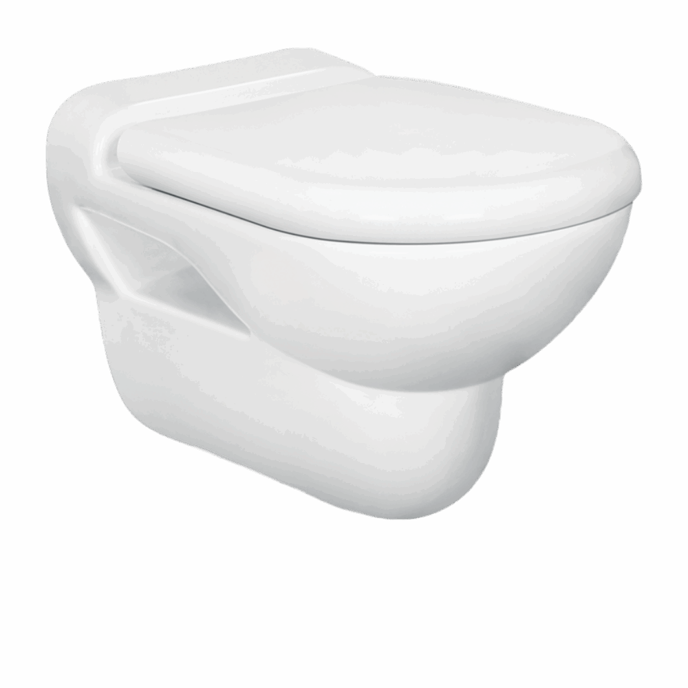 DOVE Wall Mounted Water Closet