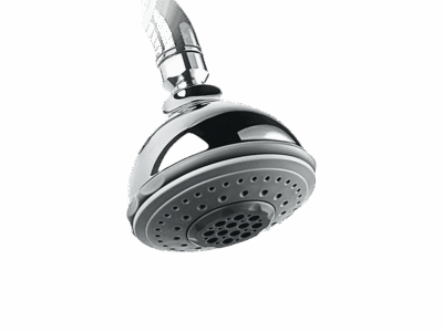Shower 5 Flow Overhead 97 mm Massage Shower