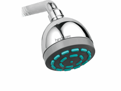 Single Flow Overhead Shower with Rubbit Cleaning System