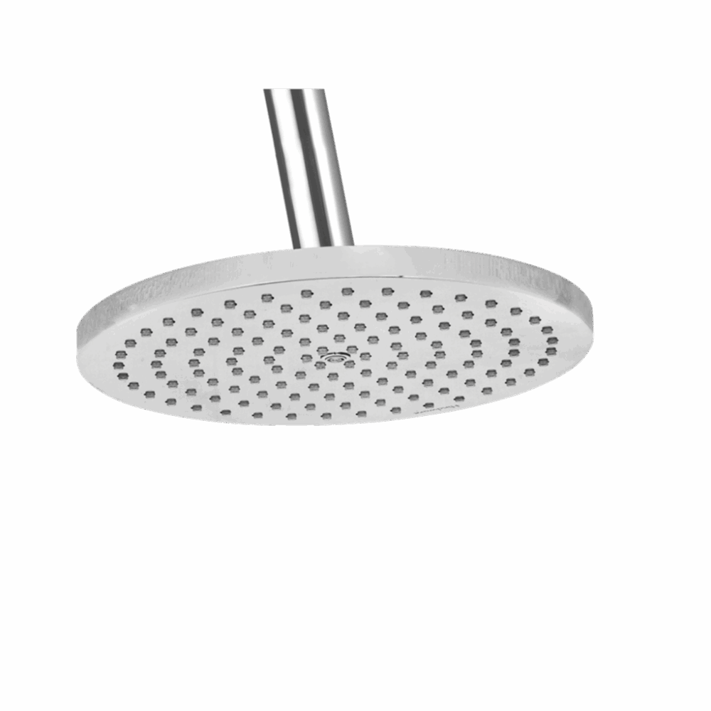 Rain Shower 200 mm Round (Brass)