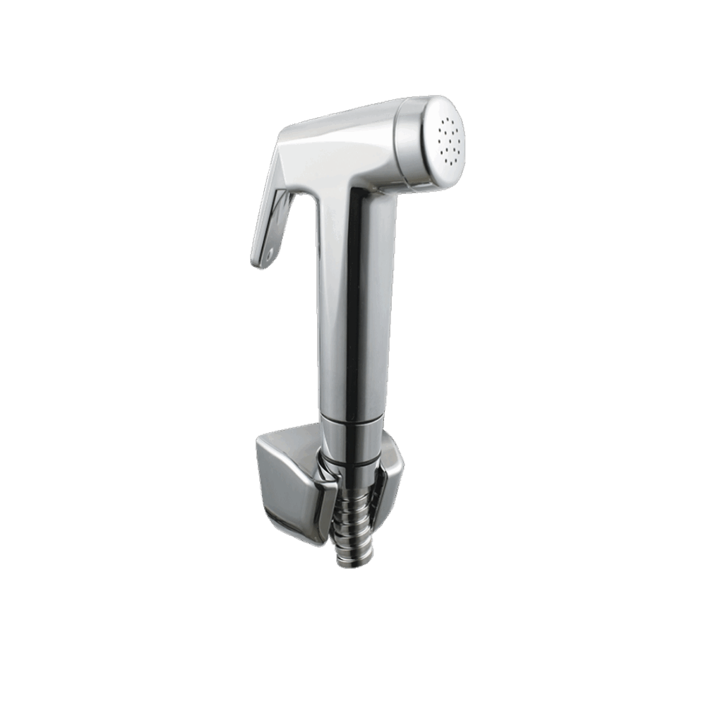 Brisk Health faucet WT 1.5 M Hose Pipe & Hook