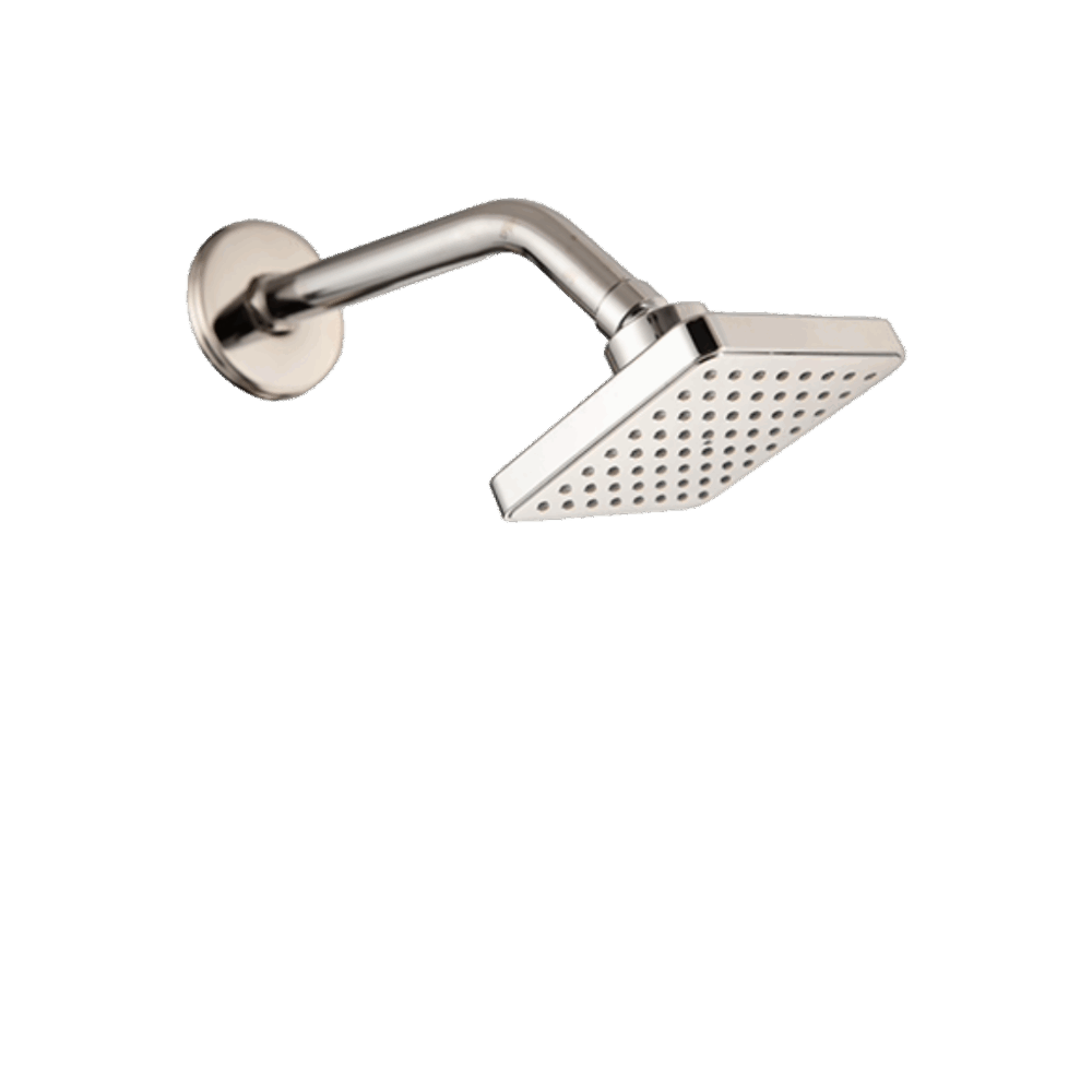 Rain Shower Chrome100 MM wt 225 MM Arm-Square