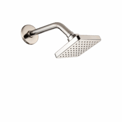 Rain Shower Chrome100 MM wt 225 MM Arm-Square
