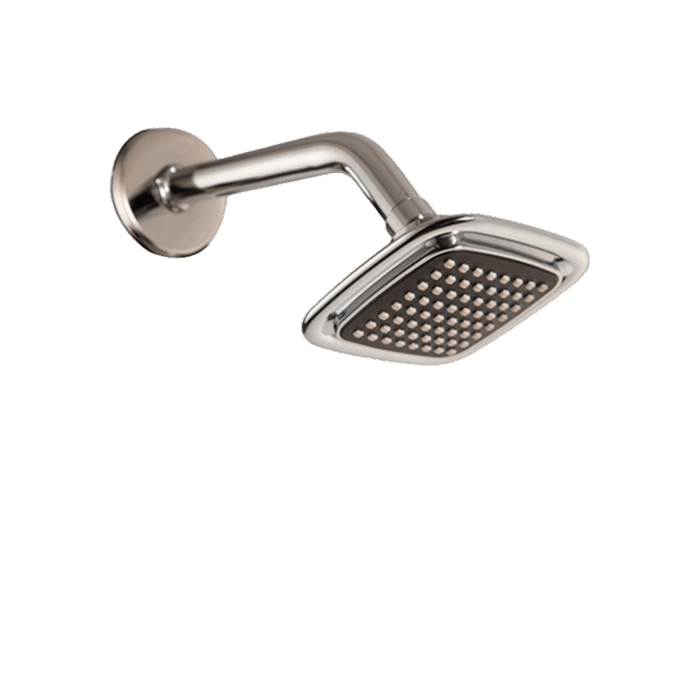 Rain Shower 100 MM Black with 225 MM Arm-Square