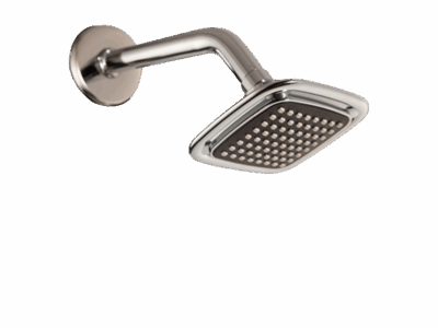 Rain Shower 100 MM Black with 225 MM Arm-Square