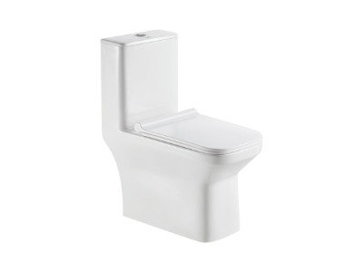 Aster S-220 One Piece Closet