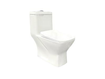 Sharp S-220 One Piece Water Closet